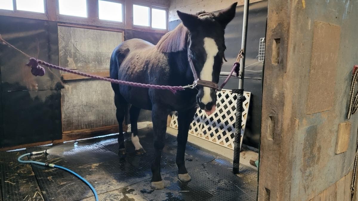 73142c6e2ad76cc44391a5dab0197e09-1763314203.jpg 73142c6e2ad76cc44391a5dab0197e09-1763314203.jpg